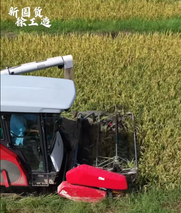 【稻花香里说丰年，听取蛙声一片】